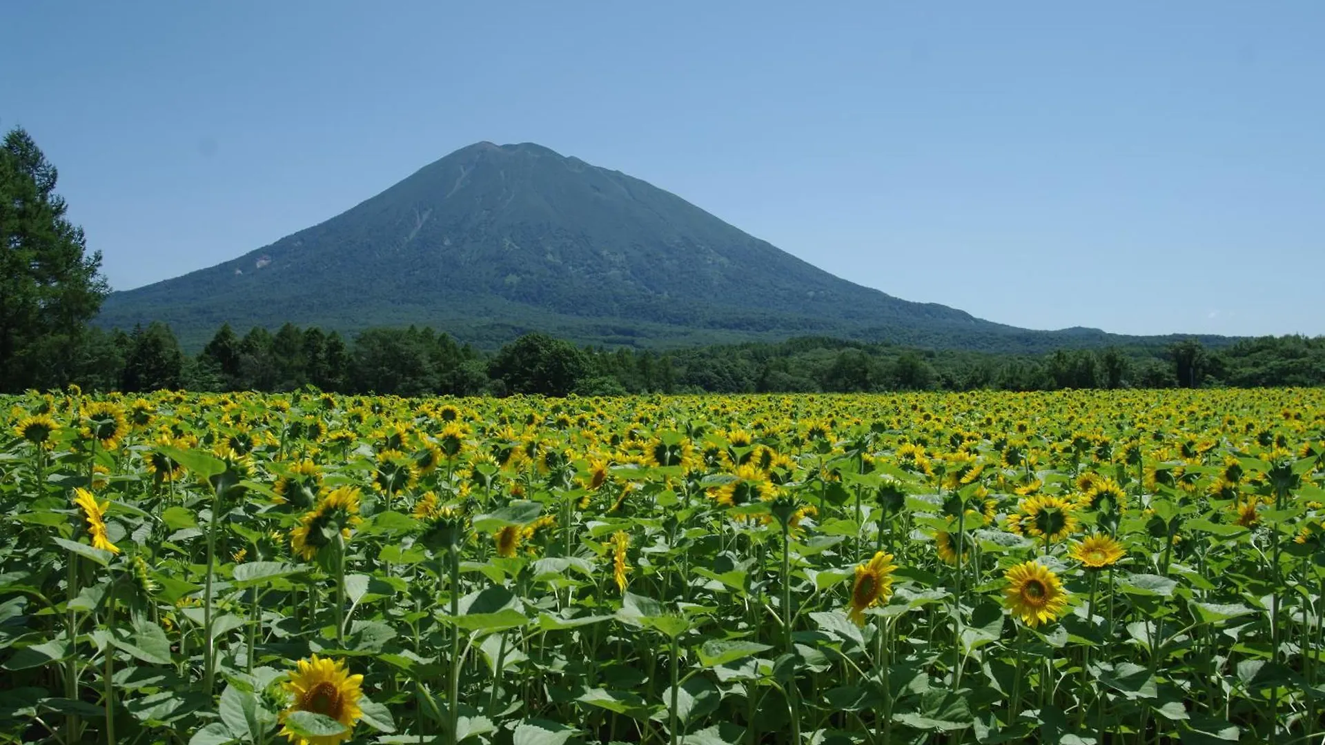 Niseko Izumikyo Villa Kutchan 0*,